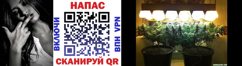 Марихуана THC 21%  Купить где  Нариманов 